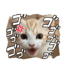 スコのピノちゃん（個別スタンプ：18）