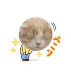 スコのピノちゃん（個別スタンプ：24）