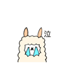 アルパカの日常言葉（個別スタンプ：16）