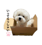 我が家の福の神（個別スタンプ：1）