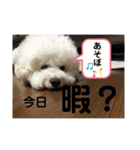 我が家の福の神（個別スタンプ：3）
