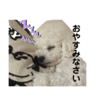 我が家の福の神（個別スタンプ：5）