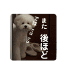 我が家の福の神（個別スタンプ：12）