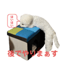 我が家の福の神（個別スタンプ：18）
