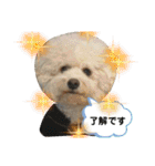 我が家の福の神（個別スタンプ：19）