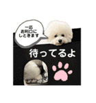 我が家の福の神（個別スタンプ：20）