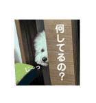 我が家の福の神（個別スタンプ：24）