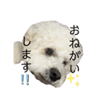 我が家の福の神（個別スタンプ：26）