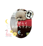 我が家の福の神（個別スタンプ：29）