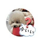 我が家の福の神（個別スタンプ：32）