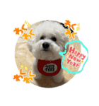 我が家の福の神（個別スタンプ：33）