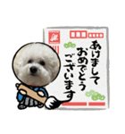 我が家の福の神（個別スタンプ：34）