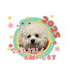 我が家の福の神（個別スタンプ：35）