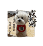 我が家の福の神（個別スタンプ：36）