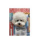 我が家の福の神（個別スタンプ：38）