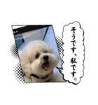 我が家の福の神（個別スタンプ：39）