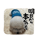 我が家の福の神（個別スタンプ：40）