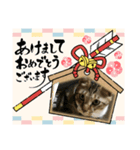 虎吉福島2025（個別スタンプ：2）