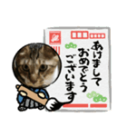 虎吉福島2025（個別スタンプ：4）