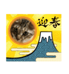 虎吉福島2025（個別スタンプ：6）