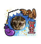 虎吉福島2025（個別スタンプ：7）