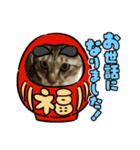 虎吉福島2025（個別スタンプ：8）