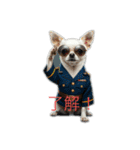 人間っぽいチワワさん5（個別スタンプ：2）
