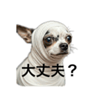 人間っぽいチワワさん5（個別スタンプ：4）