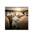 人間っぽいチワワさん5（個別スタンプ：5）