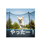 人間っぽいチワワさん5（個別スタンプ：7）
