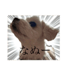 coron season9 感謝編（個別スタンプ：17）