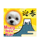 coron season9 感謝編（個別スタンプ：29）