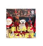 coron season9 感謝編（個別スタンプ：32）