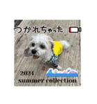 coron season9 感謝編（個別スタンプ：37）