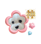 coron season9 感謝編（個別スタンプ：39）