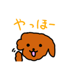 1年使えるおいぬさまスタンプ（個別スタンプ：2）