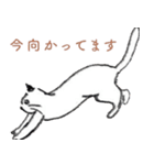 ツシマノラネコスタンプ｜01（個別スタンプ：3）