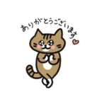 ツシマノラネコスタンプ｜05（個別スタンプ：6）