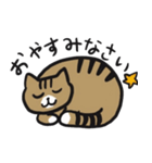 ツシマノラネコスタンプ｜05（個別スタンプ：7）
