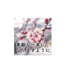 飛び出す！美しい日本の謹賀新年2025（個別スタンプ：19）