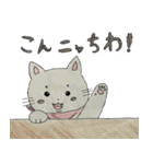 ツシマノラネコスタンプ｜08（個別スタンプ：7）