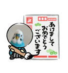 幸せの青い鳥☆ぴーちゃん2025（個別スタンプ：1）