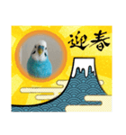 幸せの青い鳥☆ぴーちゃん2025（個別スタンプ：2）