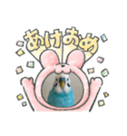 幸せの青い鳥☆ぴーちゃん2025（個別スタンプ：3）