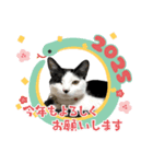 みい子からママへ2（個別スタンプ：1）