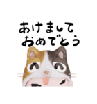 コスプレねこ③（個別スタンプ：29）
