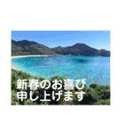 新春、あけおめ、正月用（個別スタンプ：5）