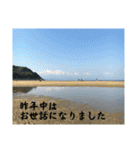新春、あけおめ、正月用（個別スタンプ：6）