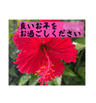 新春、あけおめ、正月用（個別スタンプ：9）