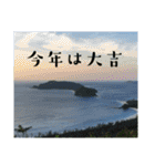 新春、あけおめ、正月用（個別スタンプ：12）